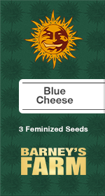 Blue Cheese Fem