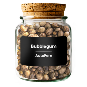 Bubblegum AutoFem