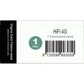 HiFi 4G Fem