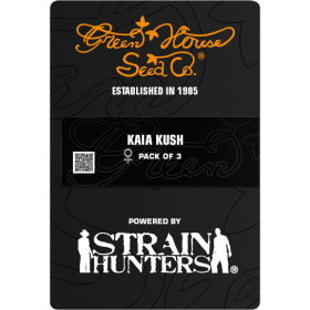Kaia Kush Fem