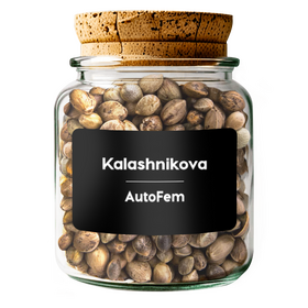 Kalashnikova AutoFem