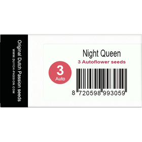Night Queen AutoFem