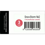 SnowStorm №2 AutoFem