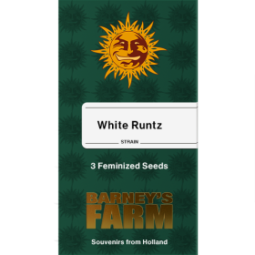 White Runtz Fem
